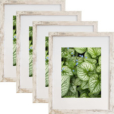 11X14 Frames Pack of 4,Display Pictures 8X10 with Mat or 11X14 without Mat,Wall