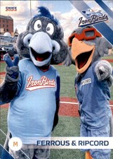 2024 Aberdeen IronBirds Choice #40 Ferrous and Ripcord MASCOTS NM Baseball Card