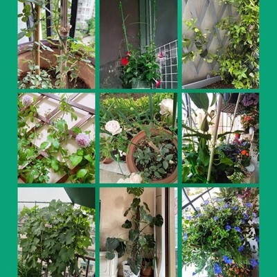 Garden Wire Tie Plant Wire Soft Green Color Twist Plant Tie Green Plant Tie