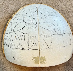 Genuine Worden Lamp Form G 16 (Sectional) for Stained Glass ,Daisy