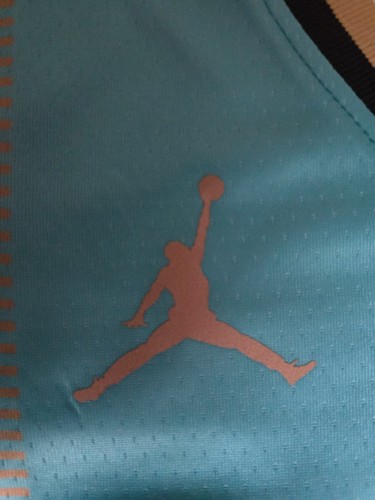 CAMISETA DE MANN DE CHARLOTTE (L) - Imagen 4 de 12