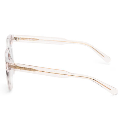 Ferragamo Women's 52mm Crystal Nude Sunglasses SF1068S-260