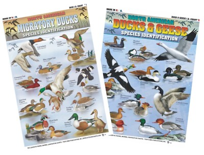 #ad North American Duck amp; Geese Identification Set Waterproof Quick Reference $12.99