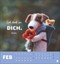 Bild 3 von 7