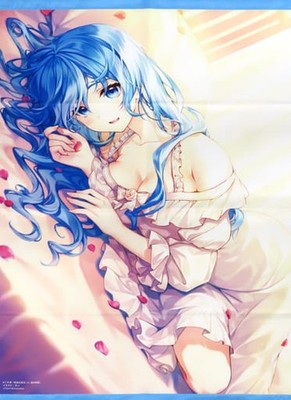 Re:Zero Riezelotte B2 Tapestry Melonbooks Limited Novel Art