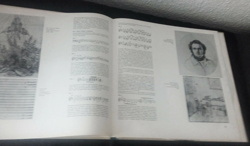 LP ALFRED BRENDEL - SCHUBERT - SINFONIE NR. 8 / FRITZ RIEGER * DIESTERWEG WERGO - Bild 2 von 4