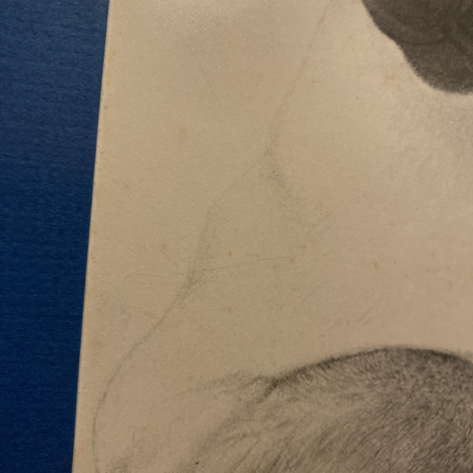 Bild 12 von 24