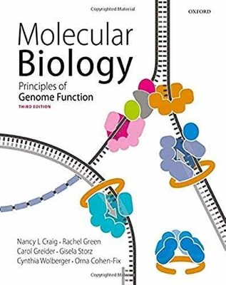 Molecular Biology: Principles of Genome - Paperback, by Craig Nancy L.; - Good