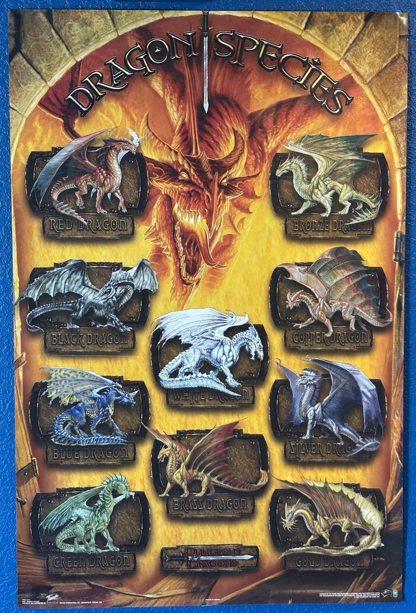 Dungeons Dragons Poster Indiana OTHER Dungeons & Dragons for sale