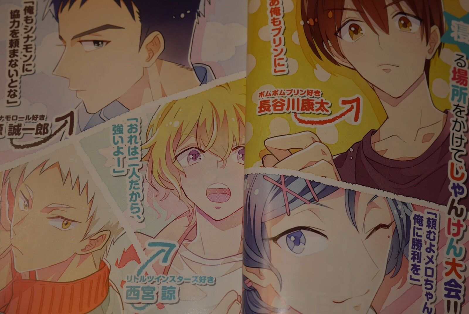 Sanrio Danshi 4.5 FAN BOOK Sanrio Boys From Japan NEW - F/S