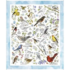 24" X 44" Panel Drawn to Birds Sketch Flowers White Cotton Fabric Panel D145.21