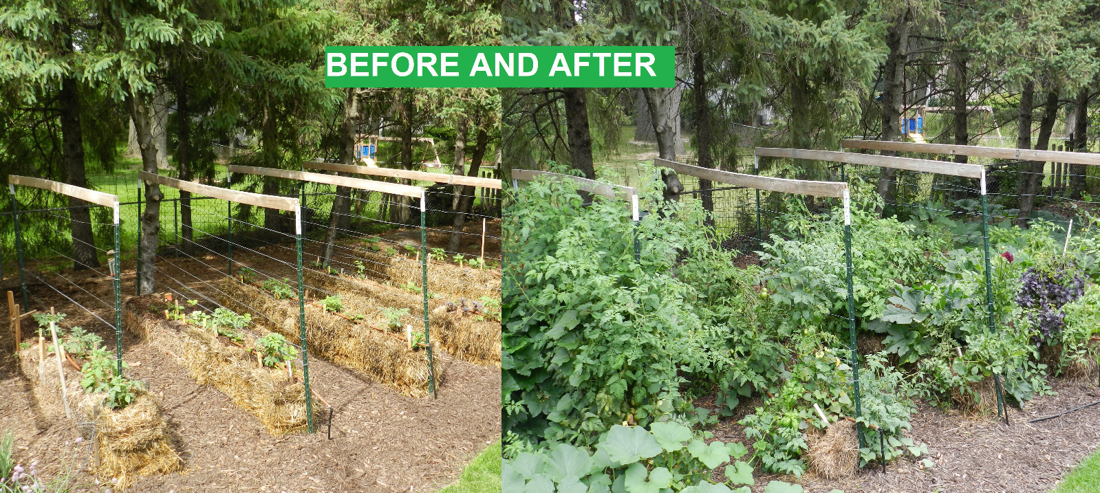 Straw Bale Gardens Complete Breakthrough Vegetable Gardening Method AllNew Information on