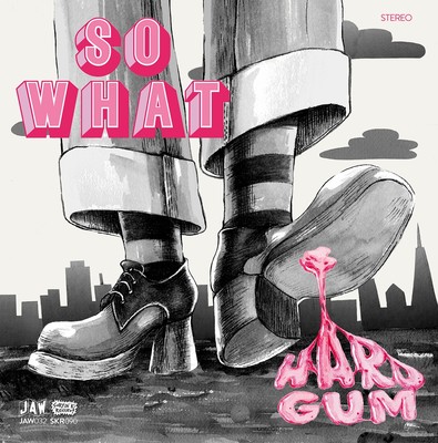SO WHAT Hard Gum LP THE EQUALS GIUDA JOOK Junkshop Glam  NEW Just Add Water