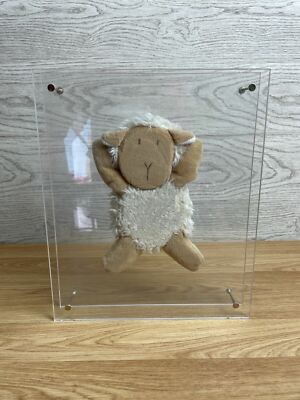 Schaf Teddy zwischen Plexiglasblättern montiert 
