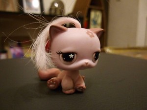 Petshop Bebe Chat Rose Ebay