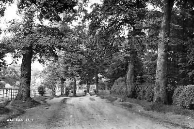 wss-80 Tree Lined Road, West Ella nr Anlaby, Yorkshire. Foto