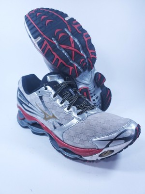 mizuno wave prophecy 2