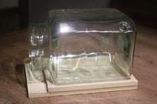 Terrarium auf Holzplatte, Glaslänge 20 cm, Glashöhe 13,5 cm, Glas zum Bepflanzen