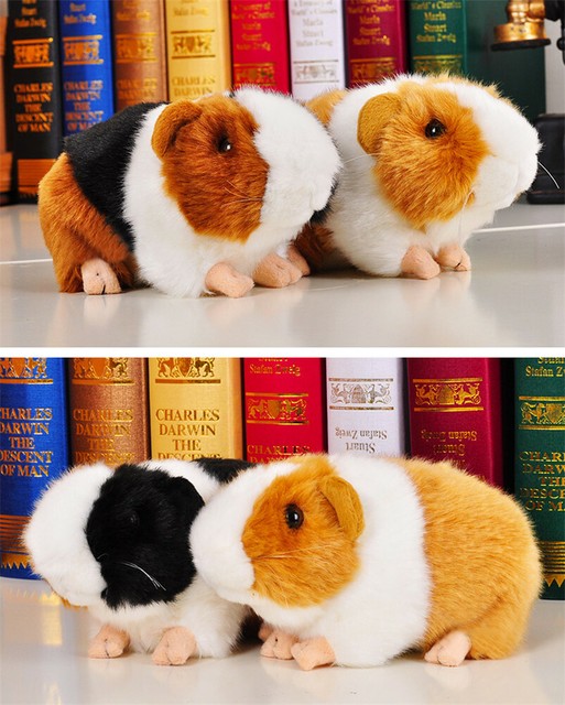 Brown / Black uineapig Guinea Pig Plush Toy soft cute plush toy gift eBay