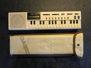 Casio Vl Tone | eBay