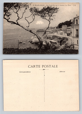 Marseille La Corniche Vue à Travers Les Pins Vintage Postcard Black and White