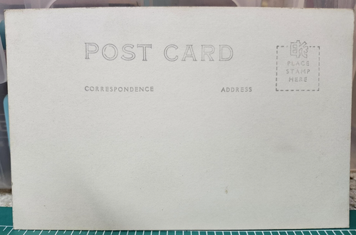 Mammoth Hooker Oak Chico California Vintage Postcard 1000 Years Old - Picture 4 of 4