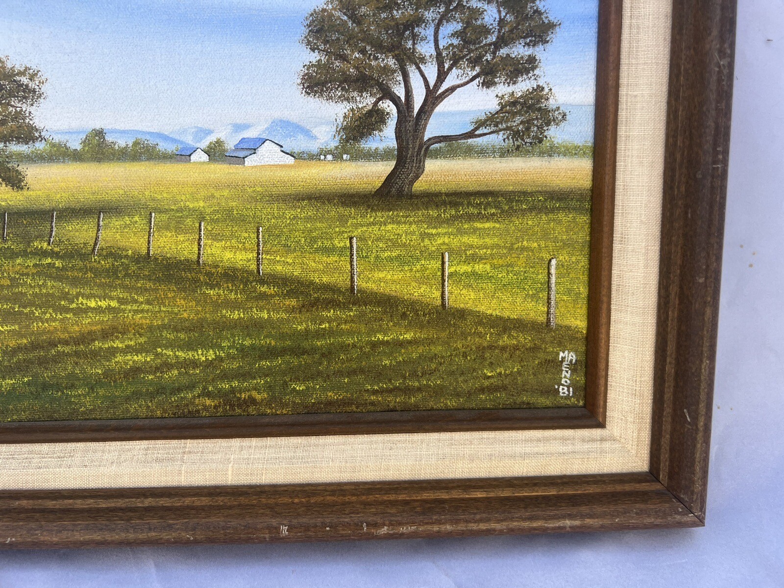 Picture 6 of 6