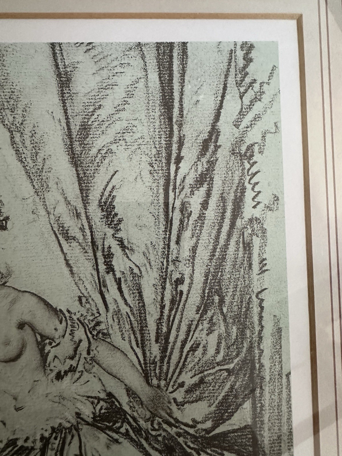 Picture 6 of 18