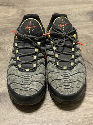 air max plus fresh perspective