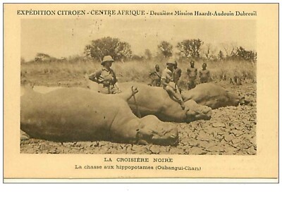 Chasse.n ° 12.LA Kreuzfahrt Noire.la Jagd Aux Hippopotames.cp Werbung Du Kino Pa