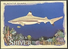 2021 Topps Allen & Ginter Deep Sea Shiver #DSS-8 Blacktip Shark