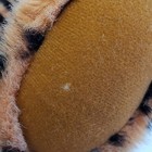 Picture 4 of 6