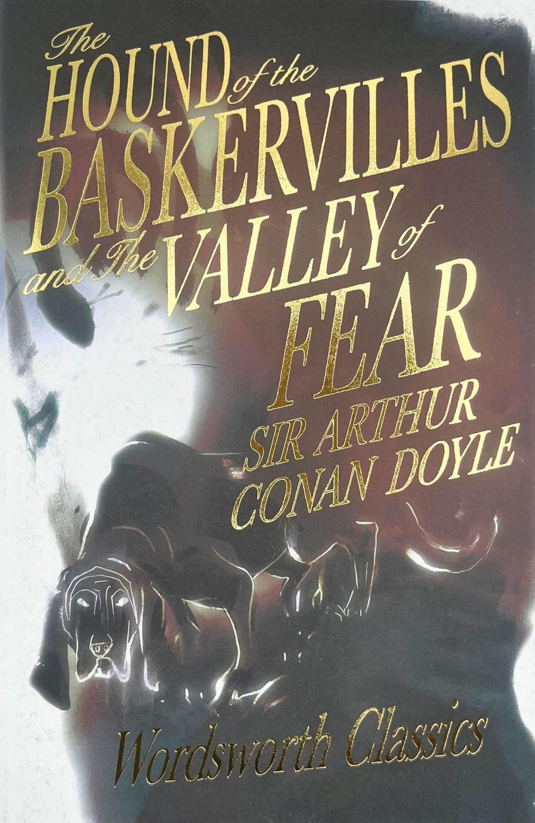 The Hound of the Baskervilles & The Valley of Fear by Arthur Conan Doyle