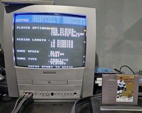 Wayne Gretzky Hockey White Jersey Variant Nintendo Nes Cleaned Tested Authentic