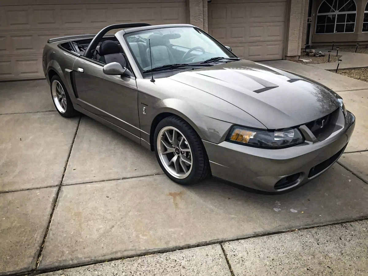 Click photo thumbnail to view