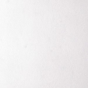 Usg Advantage Custom 4290 Tongue And Groove Ceiling Tile 12 In L