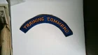 MILITARY PATCH VINTAGE US AIR FORCE ARMY TRAINING COMMAND TAB WW2 ERA