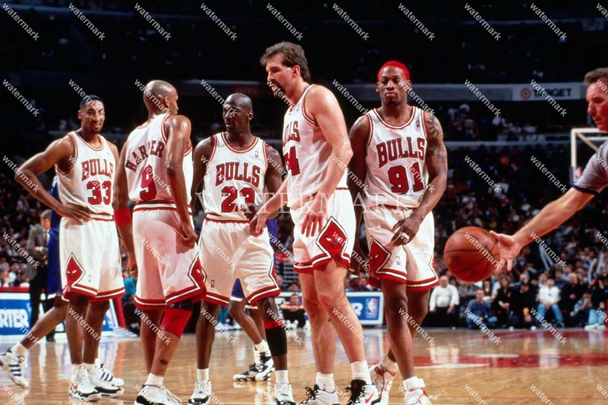 Michael Jordan, Scottie Pippen & Dennis Rodman Bulls 13x15