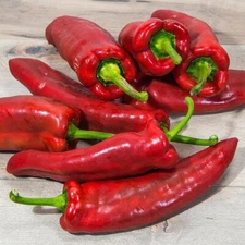 30+MARCONI PEPPER SEEDS NON-GMO FRESH FOR YOUR GARDEN