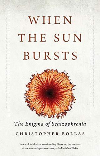 When the Sun Bursts – The Enigma of Schizophrenia by Christopher Bollas - Image 5