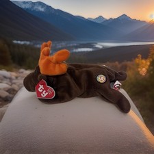 TY Beanie Baby “CHOCOLATE” the Moose - CHOCOLATE the Moose (BBOC Exclusive)