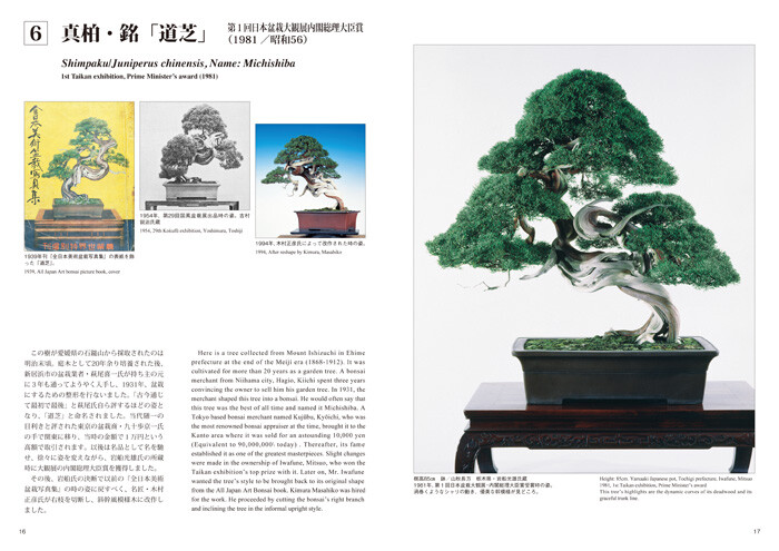 The Bonsai masterpiece collection Vol.1 with English