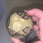 Healing Crystal LOT-Green Moss Agate Tower 6.25 in + Septarian Sphere 3 in dia — photo 4