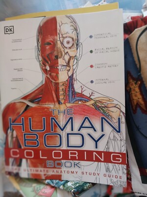 Human Body Coloring Book : The Ultimate Anatomy Study Guide by DK (2011,...