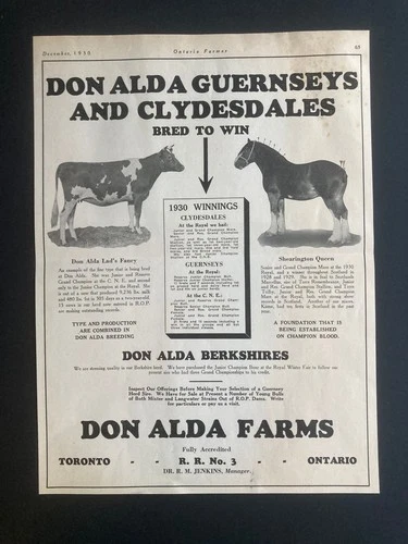 1930 CANADIAN CANADA AD GUERNSEYS CLYDESDALES HORSE DON ALDA FARM ONTARIO