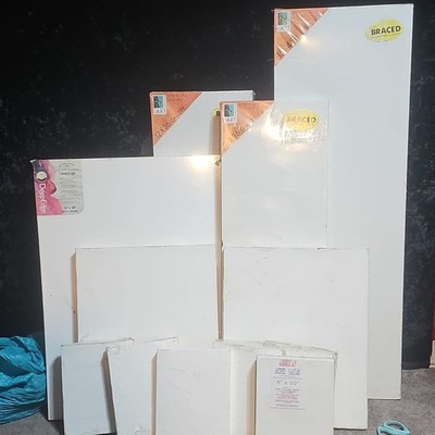 Art Alternatives Winsor & Newton American Artist Stretched Cotton Canvases Lot  