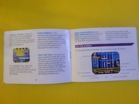 Double Dragon II The Revenge 2 NES Nintendo Instruction Manual Only