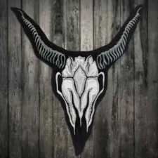 Skull patch for bikers, motoclub jacket, Large patch, Back patch