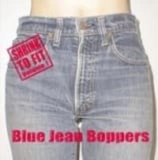 Various Artists Shrink to Fit Vol. 1 (CD) Album