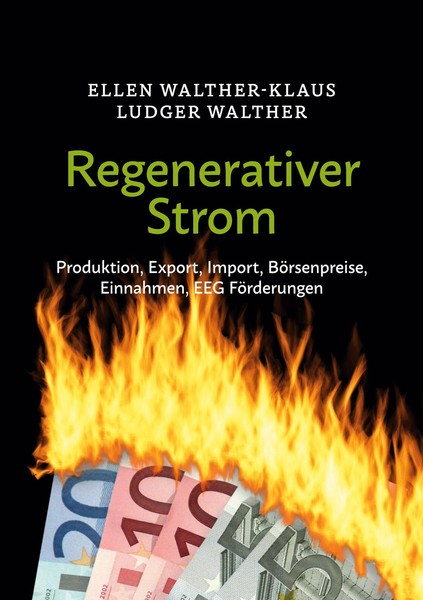 Regenerativer Strom Ellen Walther-Klaus-image